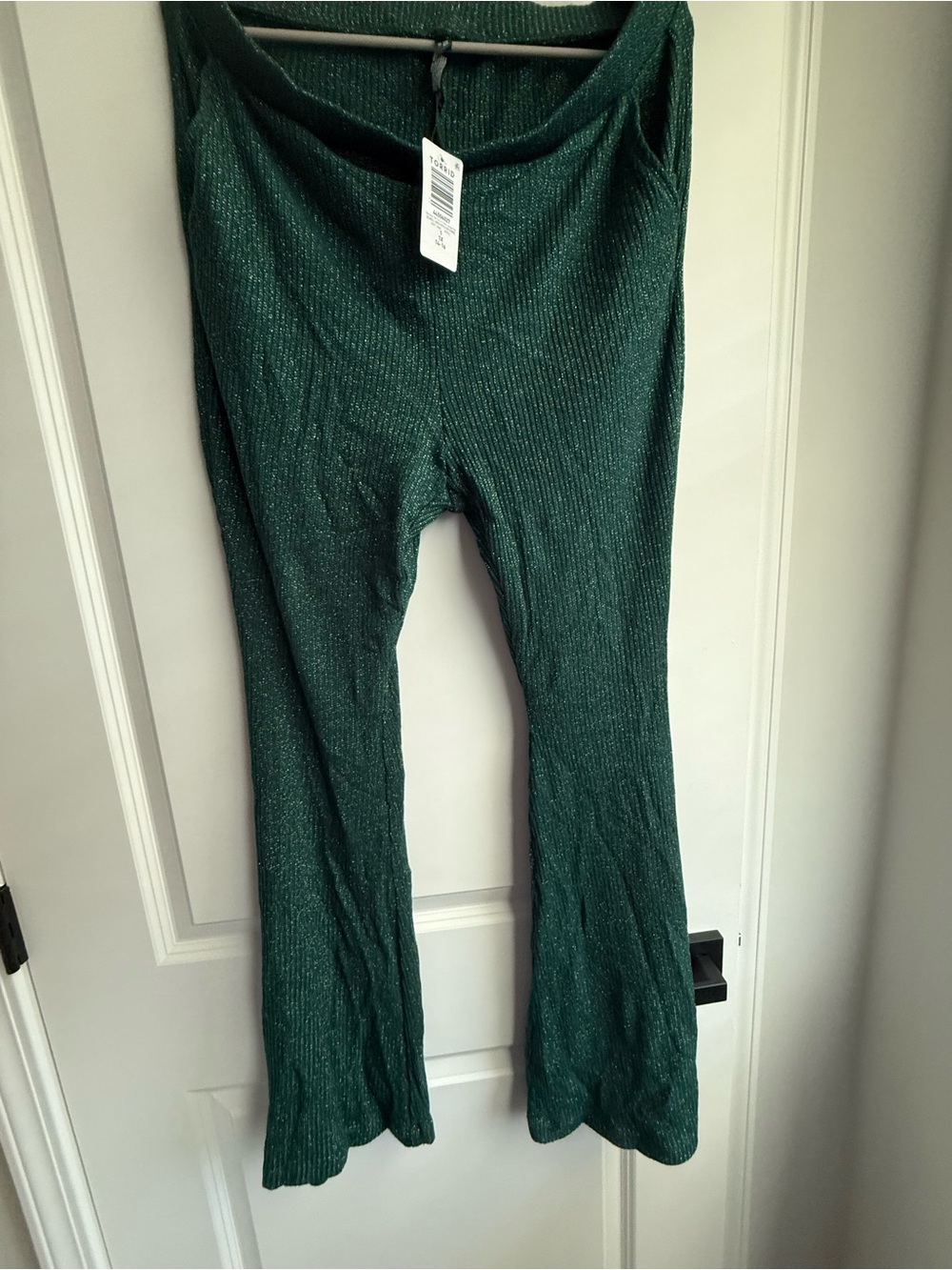 Torrid green metallic pants